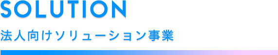 法人向けソリューション事業