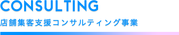 店舗集客支援コンサルティング事業